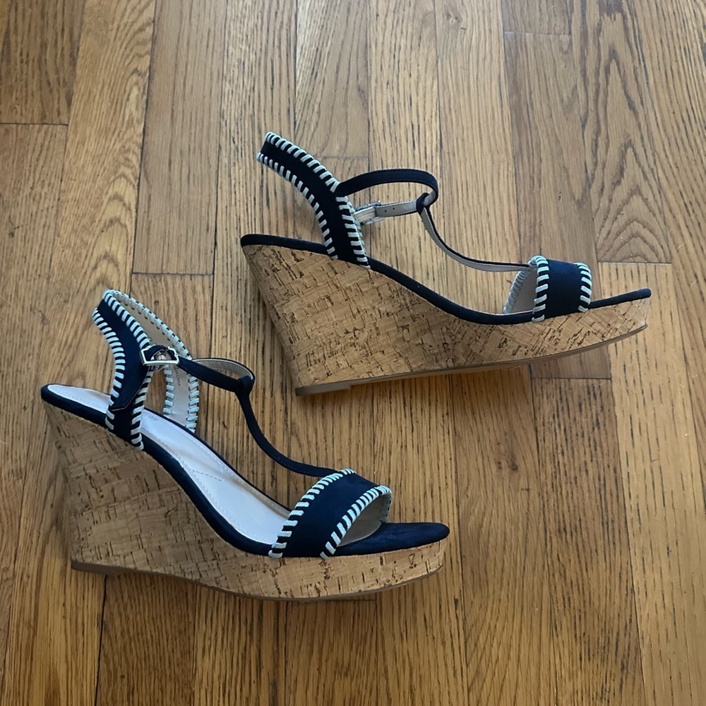 Charles by Charles David Platform Wedge Sandals